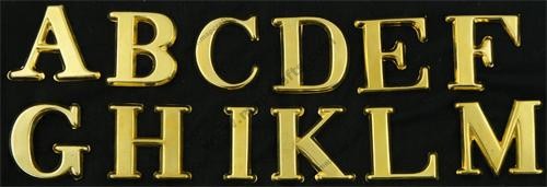 Insignia M1851 Company Letters