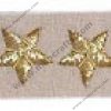Lieutenant Colonel