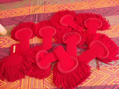Red Epaulette