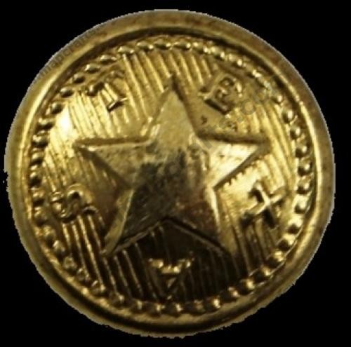 Texas Star Button!