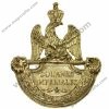 NAP-Plate_douanes_imperiales
